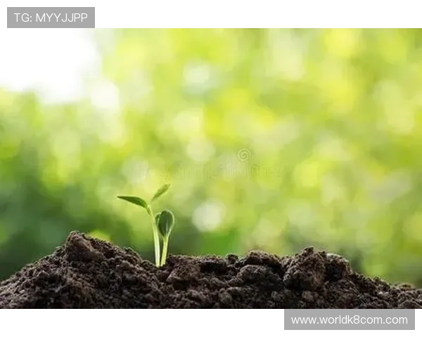 凯发注册游戏积极响应国家政策推动绿色环保，打造绿色安全的线上游戏环境实现可持续发展